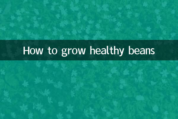 Come coltivare fagioli sani