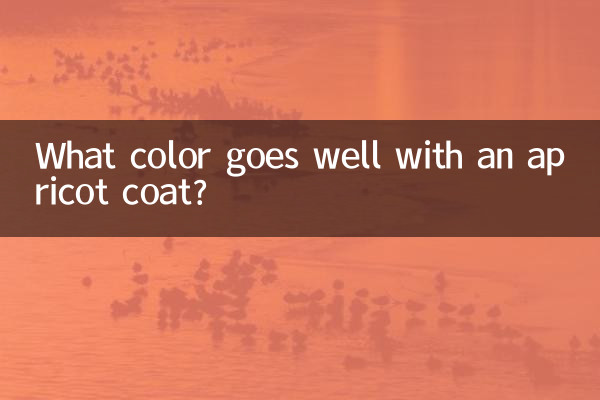 Welche Farbe passt zu einem Aprikosenmantel?