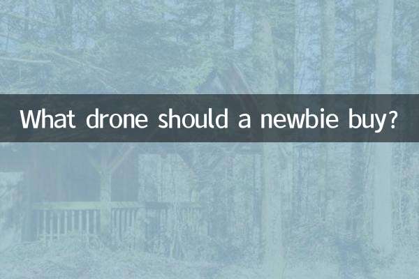 What drone should a newbie buy?