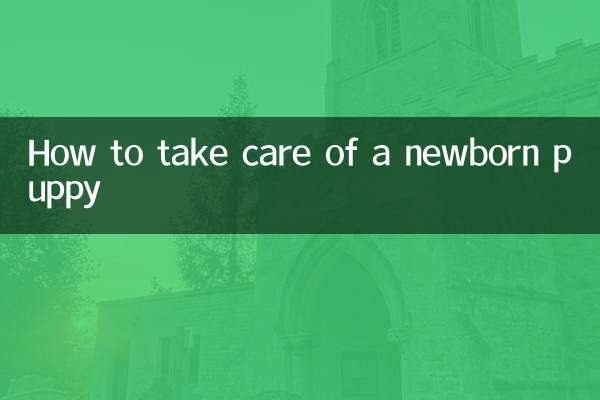Come prendersi cura di un cucciolo appena nato