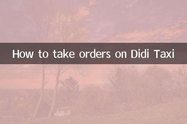 दीदी टैक्सी पर सवारी कैसे करें