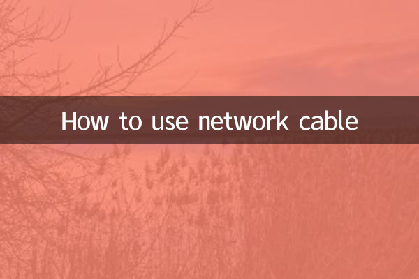 네트워크 케이블 사용 방법