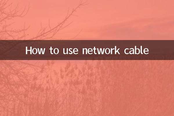 네트워크 케이블 사용 방법