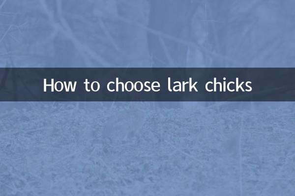 Como escolher filhotes de cotovia