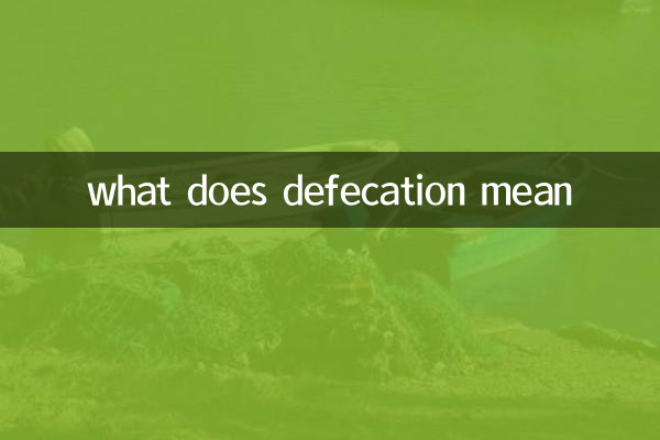 شوچ کا کیا مطلب ہے؟