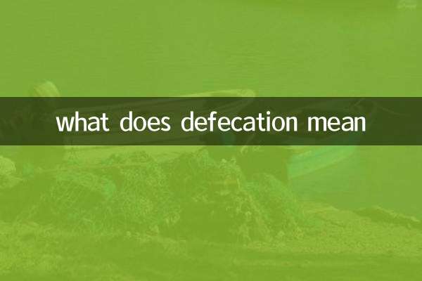 شوچ کا کیا مطلب ہے؟