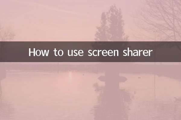 How to use screen sharer