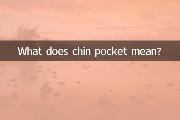 턱주머니는 무슨 뜻인가요?