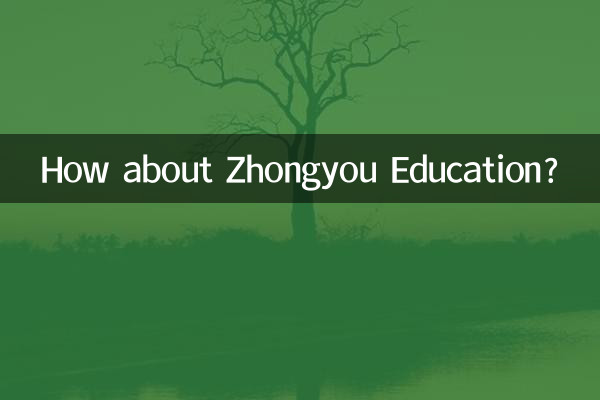 How about Zhongyou Education?