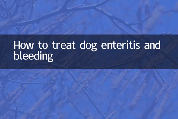 Wie man Enteritis und Blutungen bei Hunden behandelt