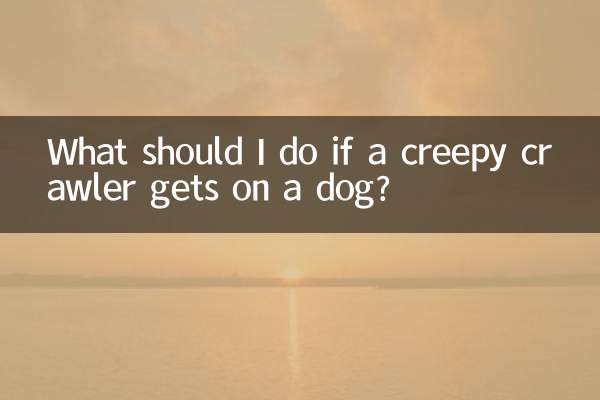 একটি ভয়ঙ্কর ক্রলার একটি কুকুর পায় তাহলে আমি কি করতে হবে?