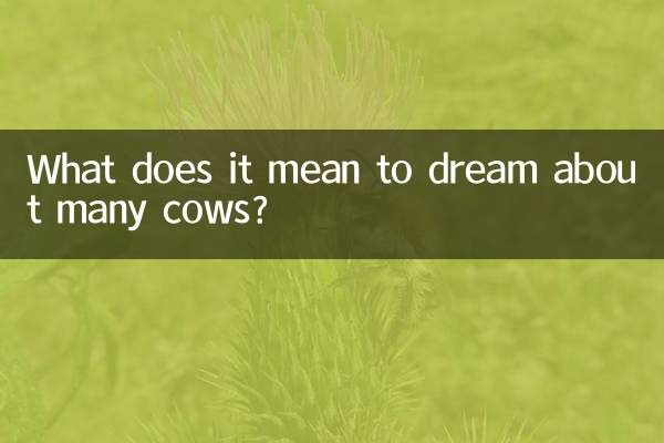 소가 많이 나오는 꿈은 무슨 뜻인가요?