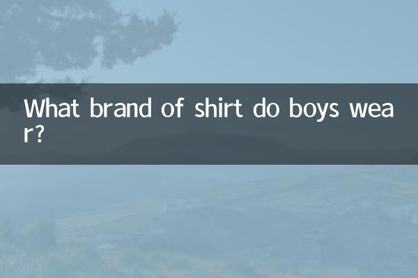 Che marca di magliette indossano i ragazzi?