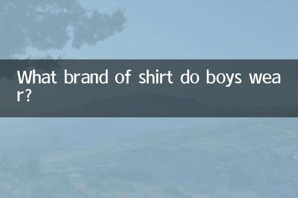 Che marca di magliette indossano i ragazzi?
