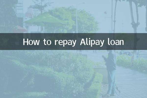 支付宝借呗怎么还款