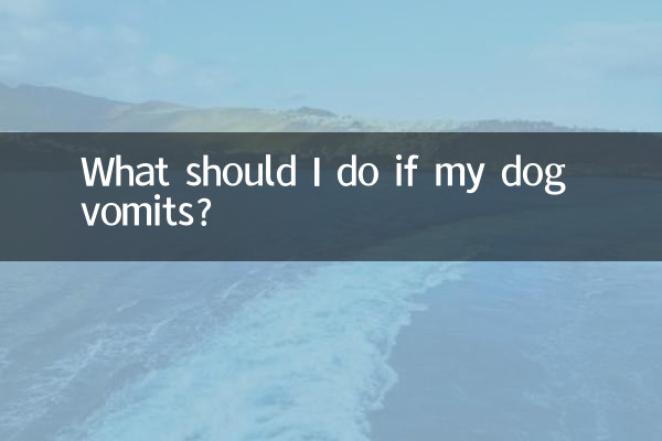 O que devo fazer se meu cachorro vomitar?