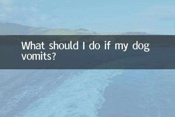 O que devo fazer se meu cachorro vomitar?