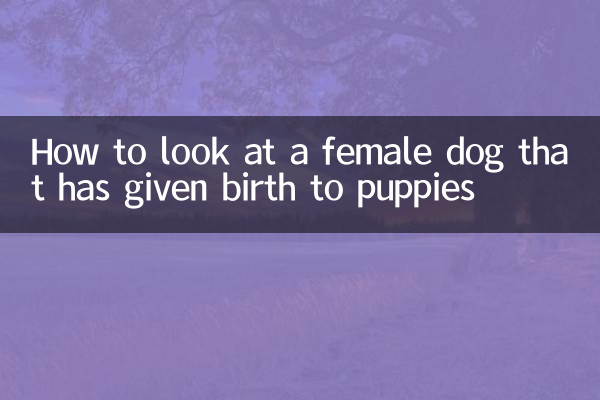 একটি মহিলা কুকুর যে কুকুরছানা জন্ম দিয়েছে কিভাবে তাকান
