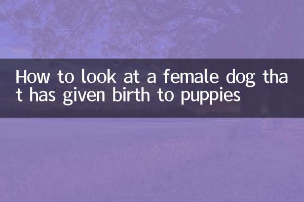 একটি মহিলা কুকুর যে কুকুরছানা জন্ম দিয়েছে কিভাবে তাকান