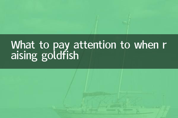 ما يجب الانتباه إليه عند تربية السمكة الذهبية