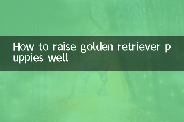 Como criar bem filhotes de golden retriever