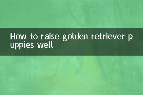 Como criar bem filhotes de golden retriever