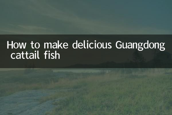 طرز تهیه ماهی کتیل گوانگدونگ خوشمزه