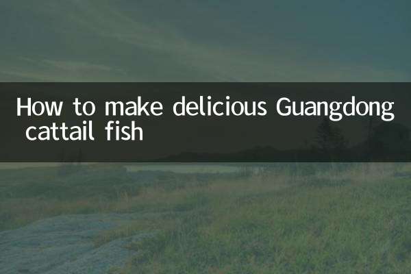 廣東叉尾魚怎麼做好吃