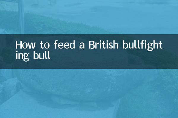 ব্রিটিশ ষাঁড়ের লড়াইয়ের ষাঁড়কে কীভাবে খাওয়াবেন