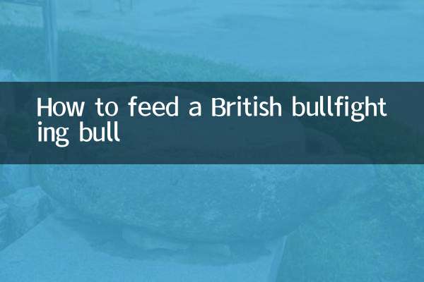 英国斗牛怎么喂