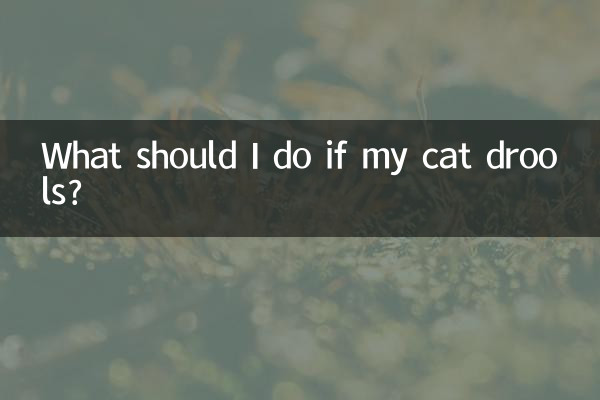 اگر میری بلی گھوم جاتی ہے تو مجھے کیا کرنا چاہئے؟