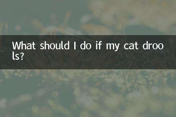 O que devo fazer se meu gato babar?