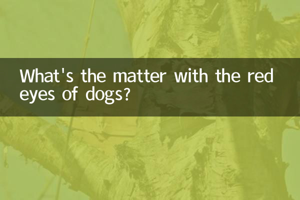 Qual è il problema con gli occhi rossi dei cani?