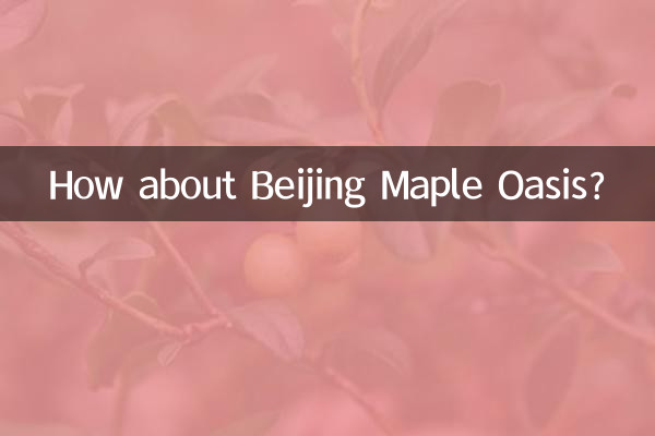 베이징 메이플 오아시스는 어떻습니까?