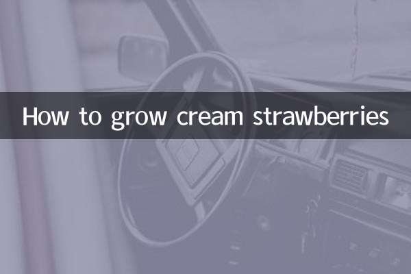 Comment faire pousser des fraises à la crème