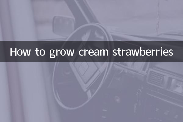 Wie man Sahneerdbeeren anbaut