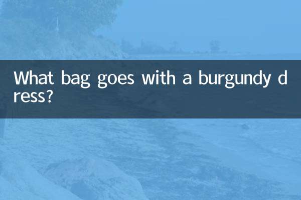 बरगंडी ड्रेस के साथ कौन सा बैग जाता है?