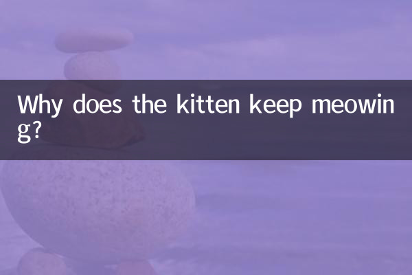 बिल्ली का बच्चा म्याऊं-म्याऊं क्यों करता रहता है?