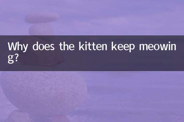 چرا بچه گربه مدام میو می کند؟