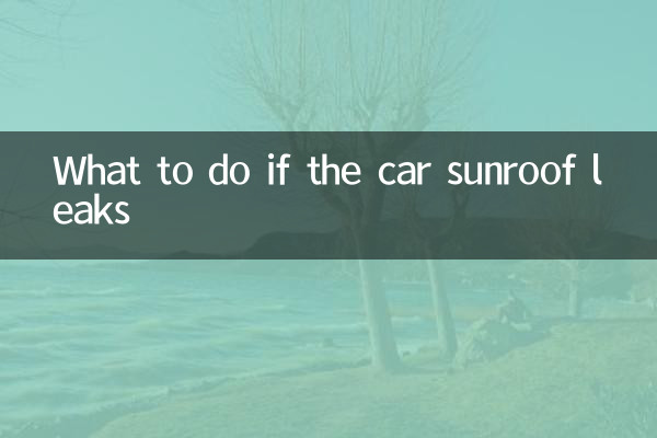 What to do if the car sunroof leaks