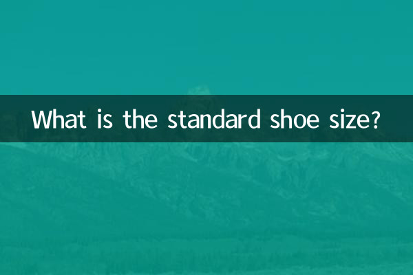 Qual é o tamanho padrão do sapato?