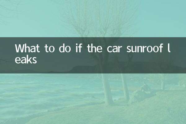 What to do if the car sunroof leaks