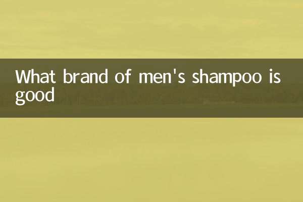 Quale marca di shampoo maschile è buono