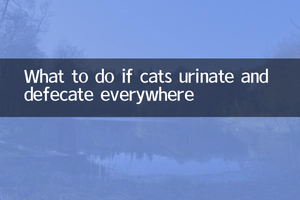 What to do if cats urinate and defecate everywhere