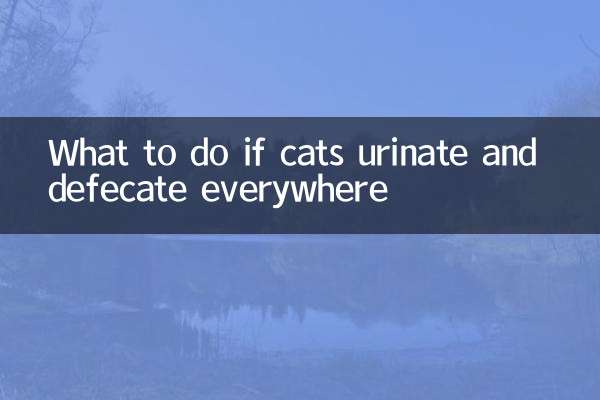 Was tun, wenn Katzen überall urinieren und kotieren
