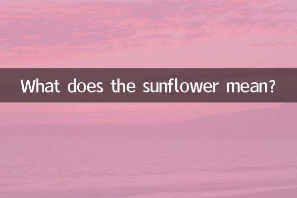 Was bedeutet die Sonnenblume?