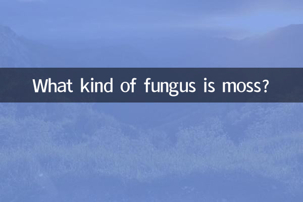 Che tipo di fungo è il muschio?