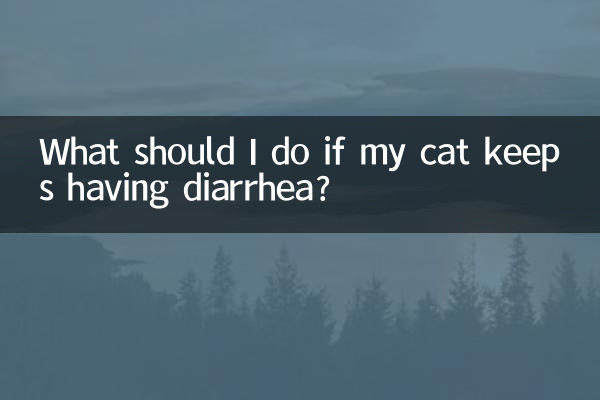 Cosa devo fare se il mio gatto continua ad avere la diarrea?