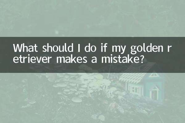 ¿Qué debo hacer si mi golden retriever comete un error?