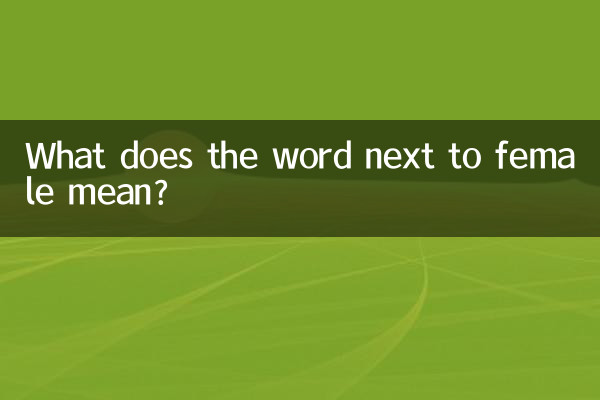 What does the word next to female mean?